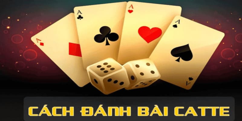 Tổng quan về bài catte và tại sao bạn cần biết mẹo đánh bài catte
